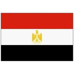 Egypt flag 3*5 ft