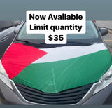 Palestine flags car Hood cover
