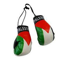 Palestine Boxing Glove for Car